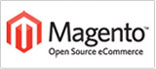 Magento eCommerce Development Services